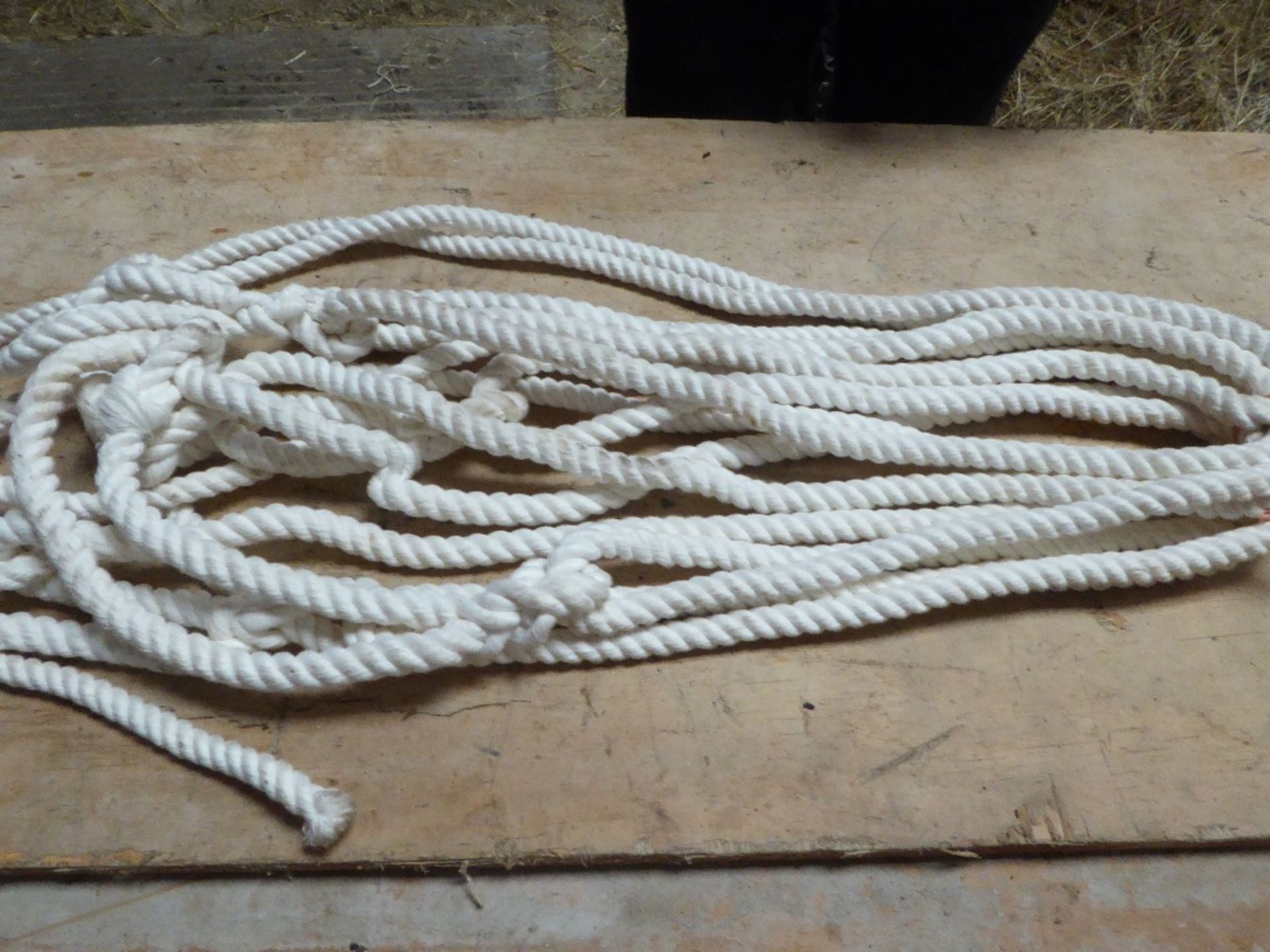 Four white rope halters