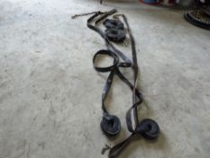 3 lead reins and a pair of reins