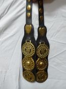 Long leather jointed strap each with three brasses