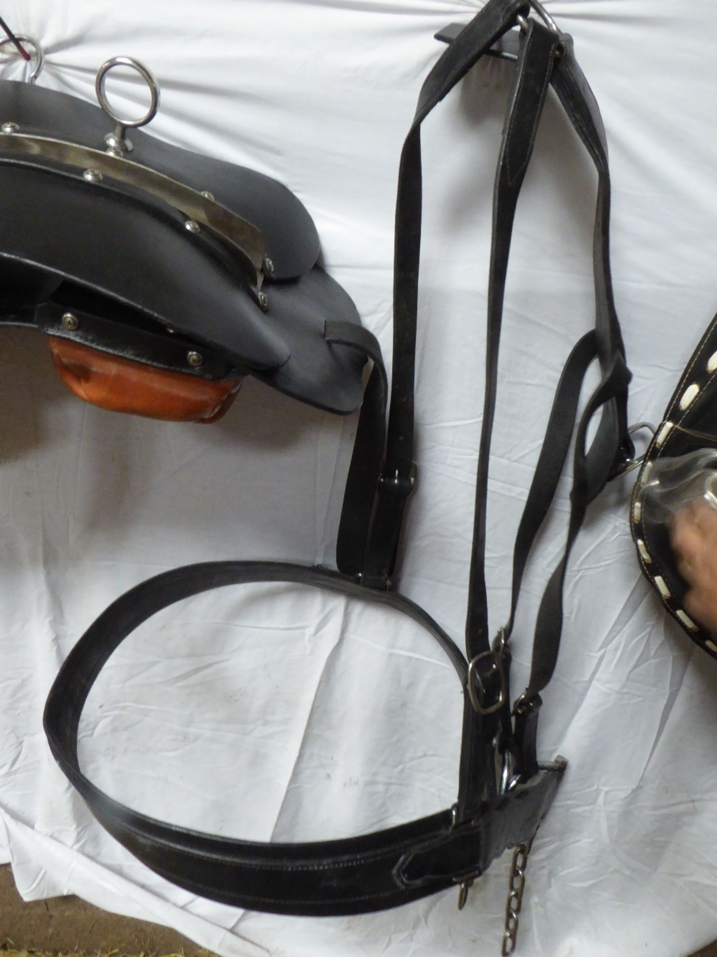 Complete single set of black leather/tan American-made Shire cart harness with pad, breeching with - Image 4 of 6