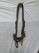 In-hand bridle with brass studs on the nose band, and a lead rein with brass chain