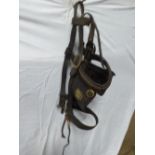 Black agricultural bridle with brass fittings, brass clincher band and studs