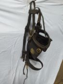 Black agricultural bridle with brass fittings, brass clincher band and studs