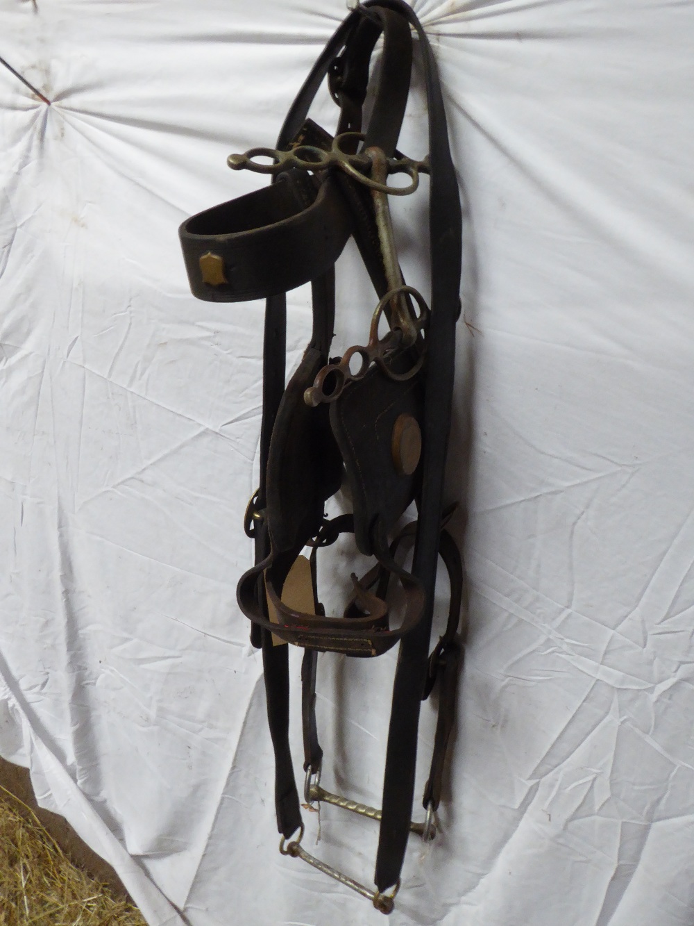 Black agricultural bridle with a driving bit, studs and bearing rein with bit