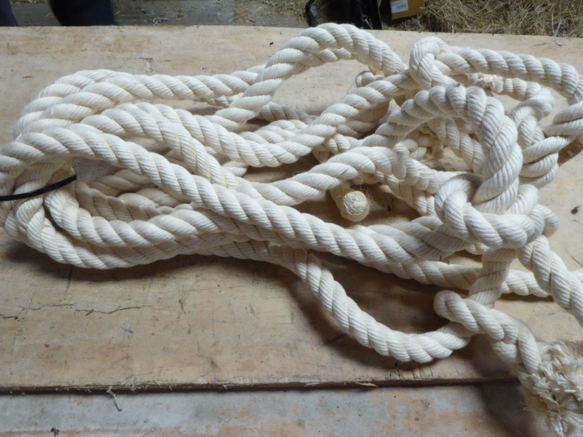 Three white rope halters
