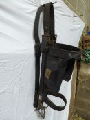 Black leather Shire bridle with initialled studs on the blinkers, and a bit