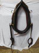 Black/patent leather collar with red lining, 26ins with a pair of brass hames and traces