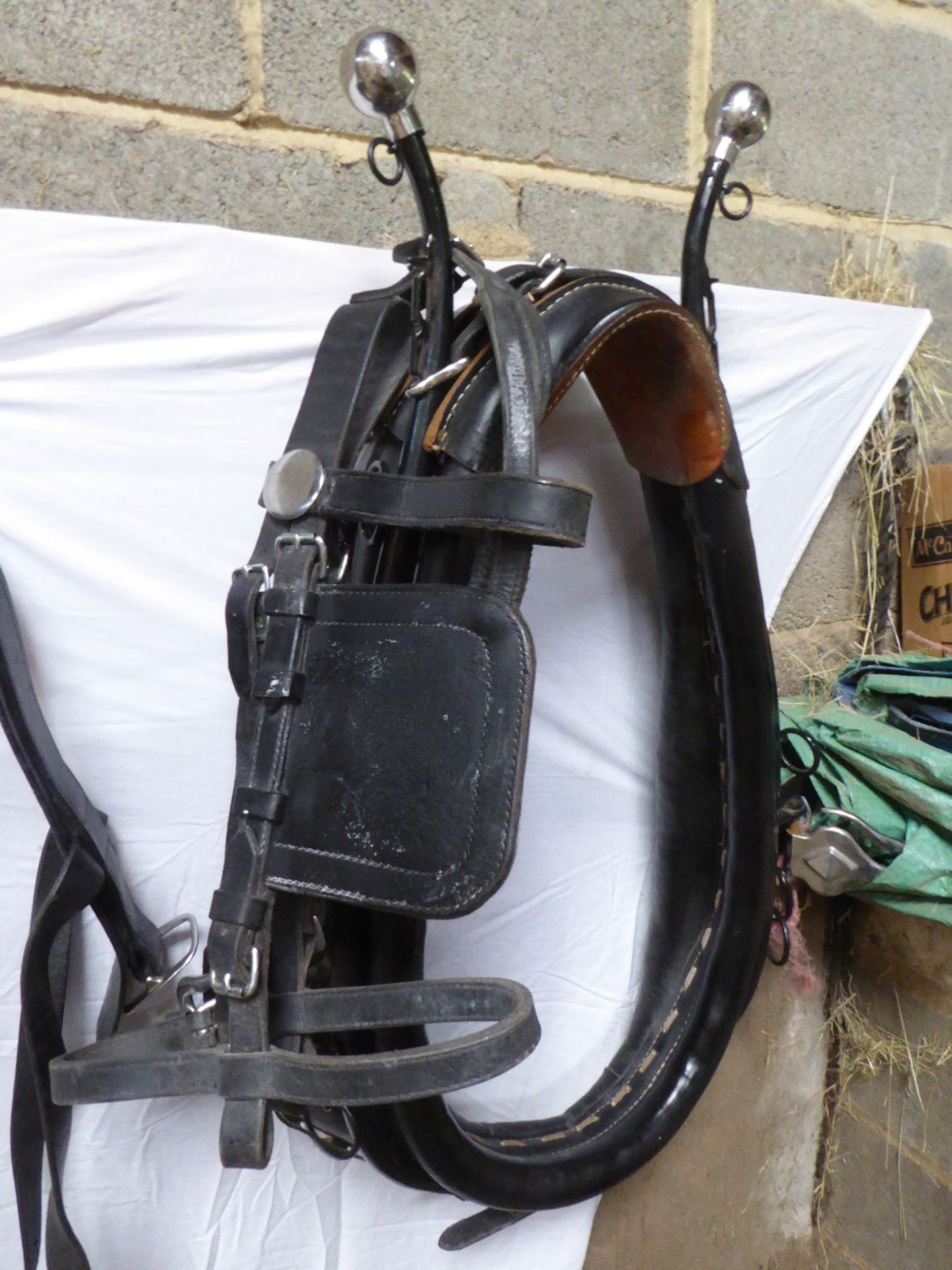 Complete single set of black leather/tan American-made Shire cart harness with pad, breeching with - Image 5 of 6
