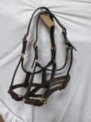 Pair of brown leather Shire headcollars with brass fittings