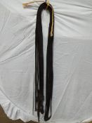 Set of pair reins