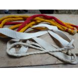 White rope halter and ribbons