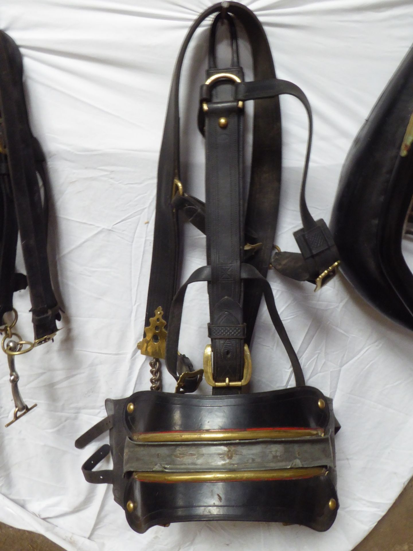 Single set of harness with 25in collar with check lining and with brass hames, bridle, pad, traces
