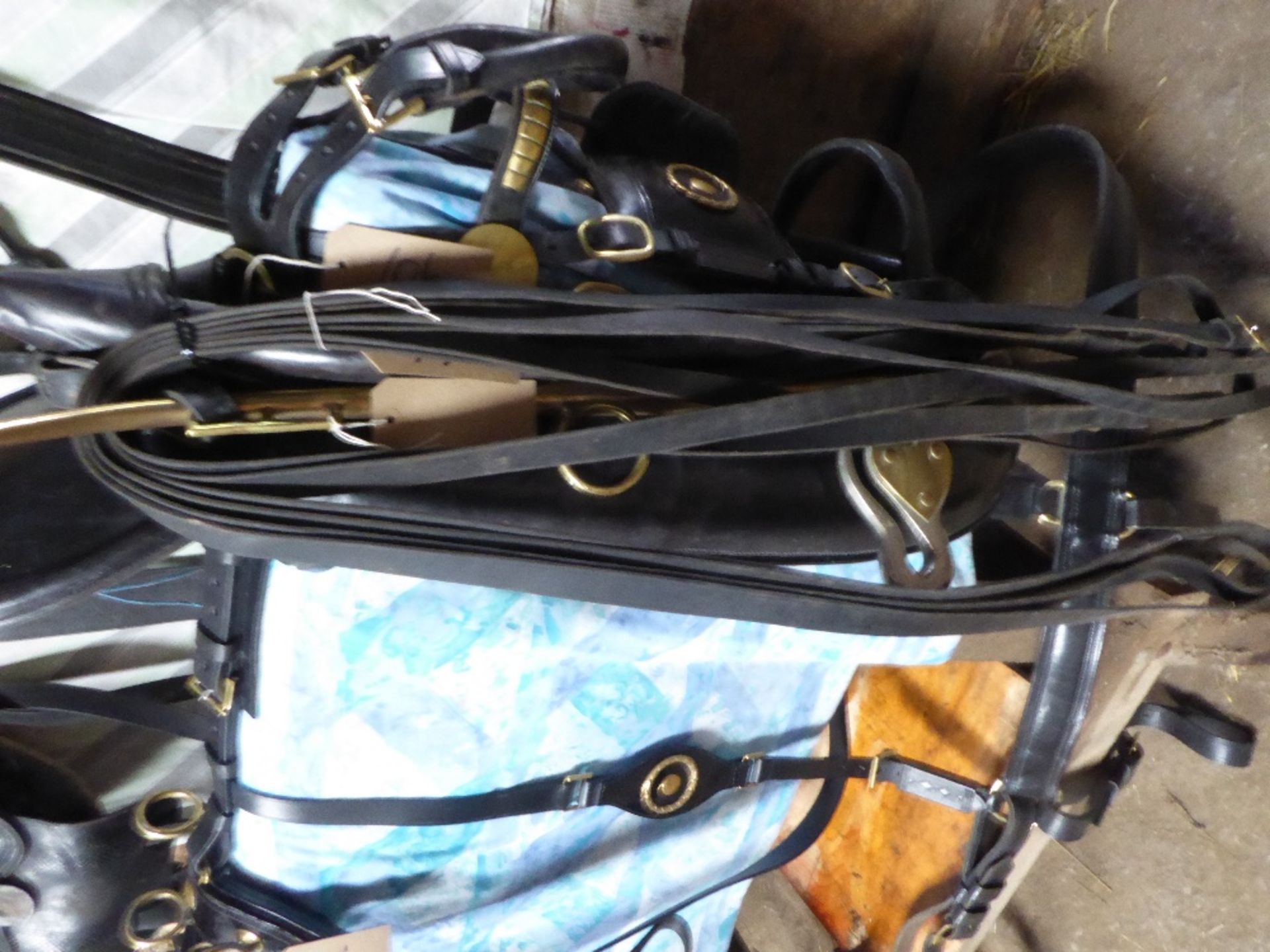 Set of black patent PAIR show/commercial harness with 28ins collars, brass hames with acorn tops and - Image 2 of 6