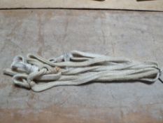 Pair of rope halters