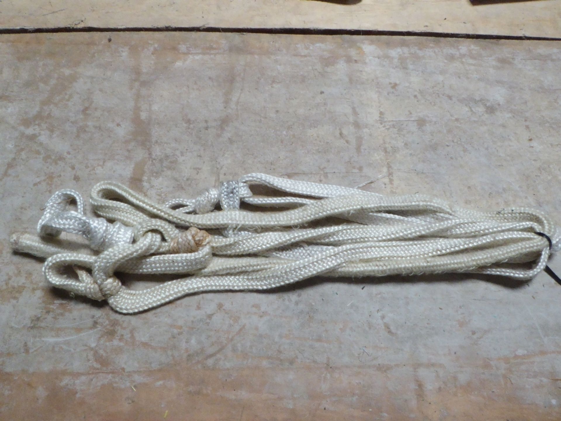 Pair of rope halters