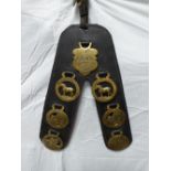 'V' shaped leather with seven horse brasses - Shire Horse World Congress 1996, British Percheron