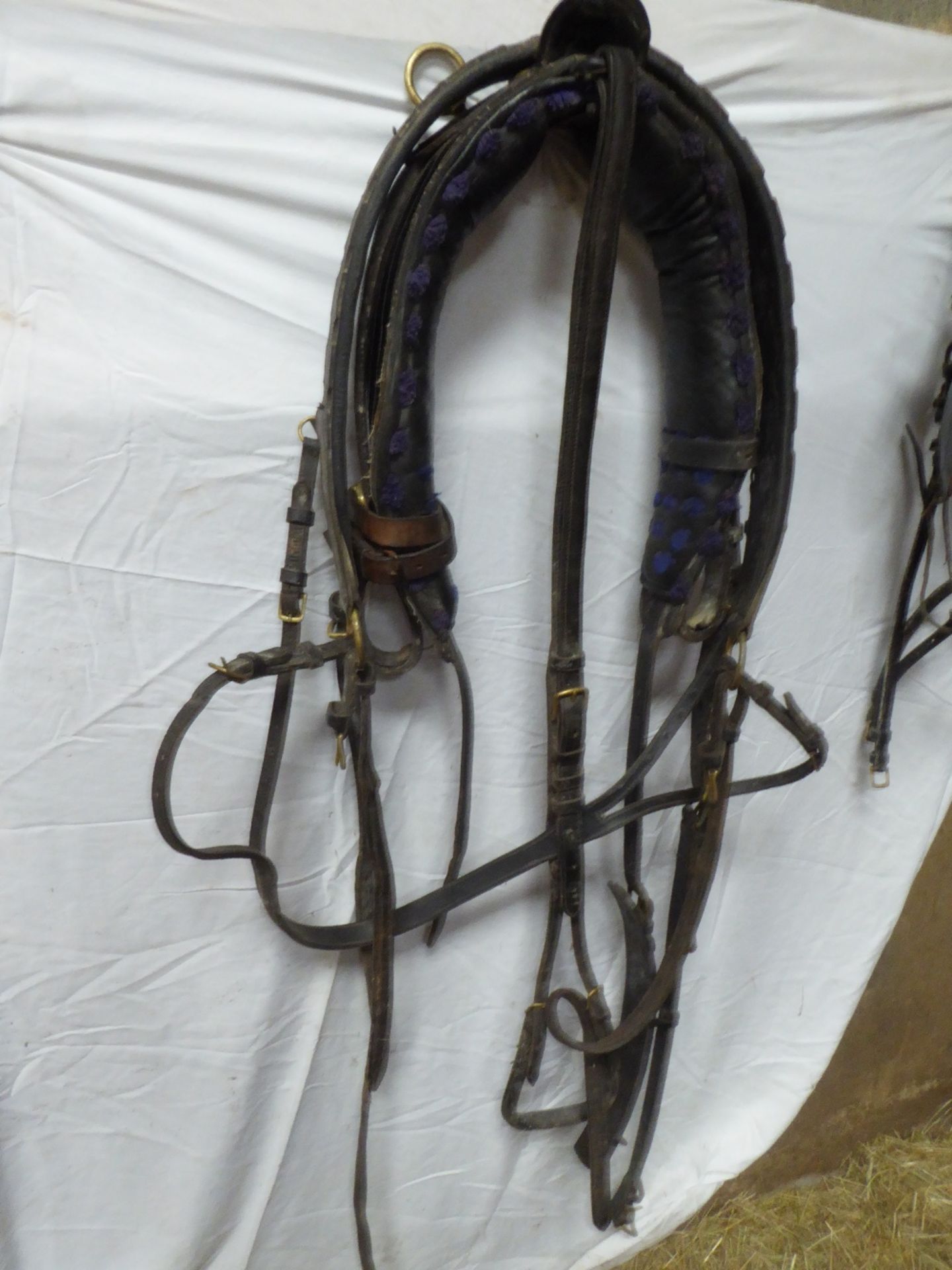 Set of black/patent light harness with breastplate, pad, bridle, breeching and crupper - Image 2 of 3
