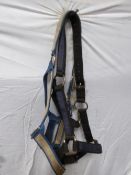 Pair of webbing Shire headcollars