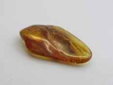 Insects in amber. Estimate £20-30.