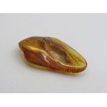 Insects in amber. Estimate £20-30.