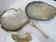 Carved shell spoon together with collection of oyster shell plates & scoops. Estimate £30-50
