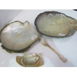 Carved shell spoon together with collection of oyster shell plates & scoops. Estimate £30-50