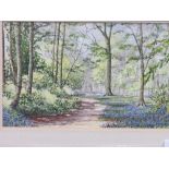 Framed & glazed watercolour of bluebells in Elm Wood by Joan Gaines. Estimate £20-30