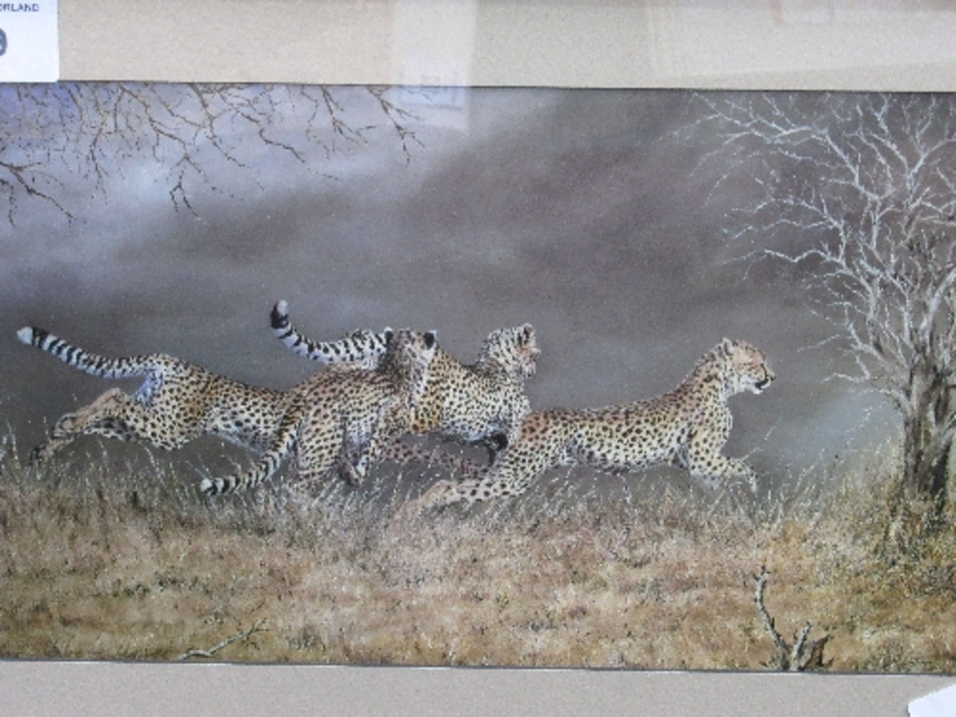 Four Running Leopards by Osborne. Framed and glazed print, signed in image. 55cm x 40cms.Estimate £