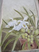 Vintage collection of 17 watercolour botanical studies on paper. Estimate £30-50