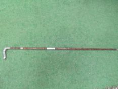 19th century cane walking stick with hallmarked silver crocodile tail handle & collar. Estimate £