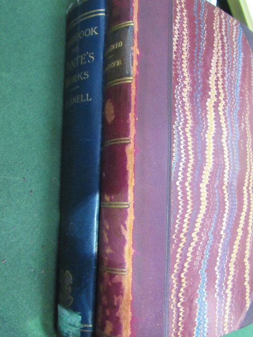 2 books - Handbook to the works of Dante by F S Snell 1909 and 'Del Paradiso' circa 1900. Est 10-20