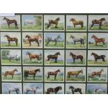 Framed & glazed 25 Players cigarette cards of various breeds of horse. Estimate £5-10