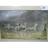 4 running leopards by Osborne, framed & glazed print signed in image, 55 x 40cms. Estimate £20-30