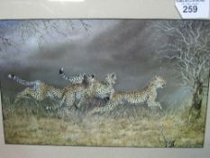 4 running leopards by Osborne, framed & glazed print signed in image, 55 x 40cms. Estimate £20-30