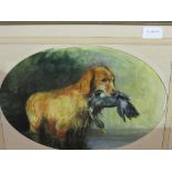 Large framed & glazed watercolour of a yellow Retriever with game signed D W Blanchard. Estimate £