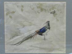 Framed & glazed limited edition 16/75 print of a cock pheasant by G Vernon Stokes. Estimate £20-30
