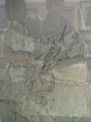Framed & glazed watercolour of foliage signed Philip Meninsky together with a framed & glazed