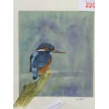 Framed & glazed watercolour of a Kingfisher signed Jane Horton. Estimate £15-25
