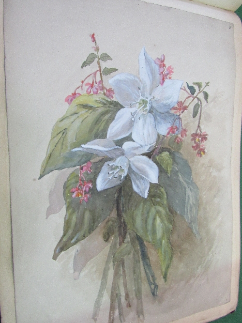 An album containing approx 78 watercolours including animals, flowers, landscapes, some dated late - Image 2 of 13