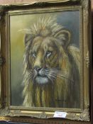 Framed oil on canvas lion's head signed McDonald. Estimate £25-35