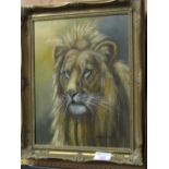 Framed oil on canvas lion's head signed McDonald. Estimate £25-35