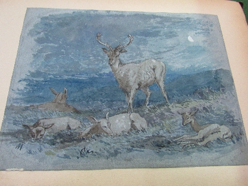 An album containing approx 78 watercolours including animals, flowers, landscapes, some dated late - Image 9 of 13