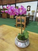 Artificial orchid in ceramic pot. Estimate £10-20