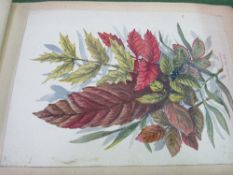 An album containing approx 78 watercolours including animals, flowers, landscapes, some dated late