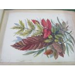 An album containing approx 78 watercolours including animals, flowers, landscapes, some dated late