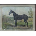 Framed & glazed watercolour of a black horse signed initial J.W.S. Estimate £20-30