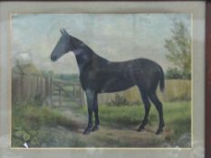 Framed & glazed watercolour of a black horse signed initial J.W.S. Estimate £20-30