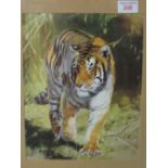 Framed & glazed print of a tiger. Estimate £20-30