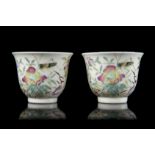 A pair of Famille rose cups decorated with floral motifs, with Guangxu mark and of the
