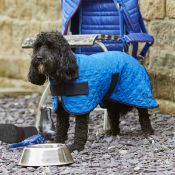 1 x Woofmasta Cooling Dog Coat in Blue - Size 10 Inch - Product Code MA5535 - CL401 - Brand New